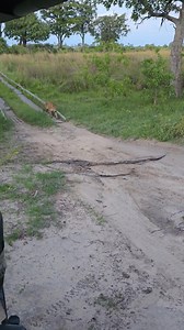 4.6K views · 55 reactions | Wynter Mmolotsi on Reels | Facebook