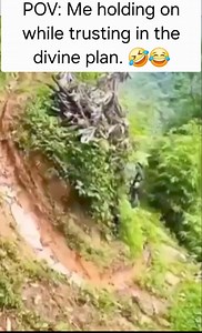 455K views · 6.9K reactions | Trust #trending | Ashe Tree | Facebook
