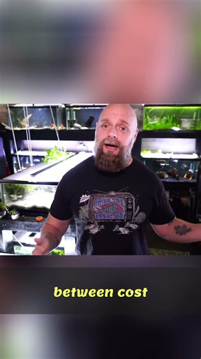 10 Gallon Aquarium: Perfect Stocking & Aquascaping Ideas!