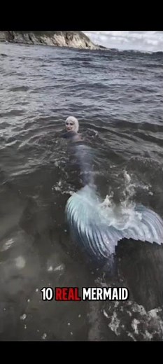 Top 10 Real Mermaid Sightings Fishermen Swear Are True