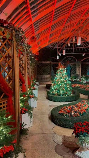 Holiday magic turns Phipps Conservatory and Botanical Gardens into a full-on winter wonderland (through January 4)