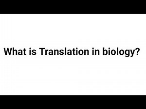What is Translation in Biology ?