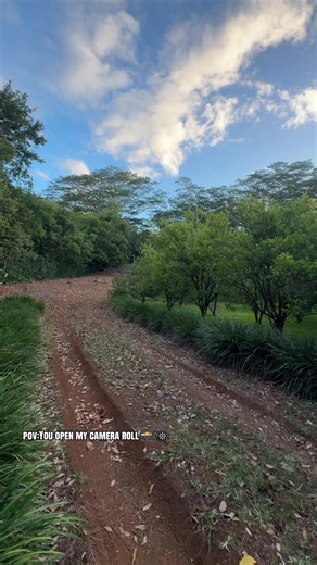 Discovering Chamarel Falls: An Adventurer's POV