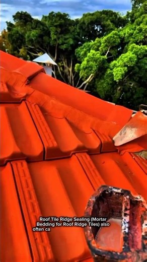 Professional Roof Ridge Mortar Sealing Process | Skilled Roofer Using Trowel on Clay Roof Tiles