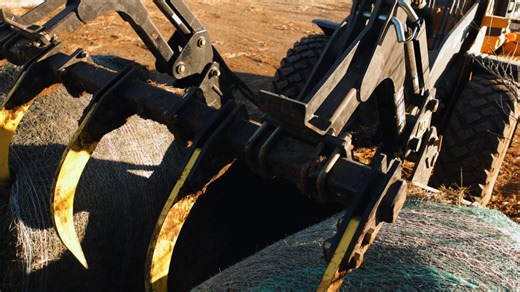 49K views · 109 reactions |  Sonne Farms Trusts MDS – and You Should...