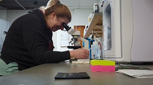 Genealogy helps identify suspect in Florida cold case murder