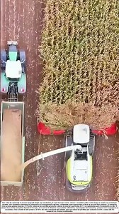 Transformando Rastrojos: La Revolución del Forraje Instantáneo