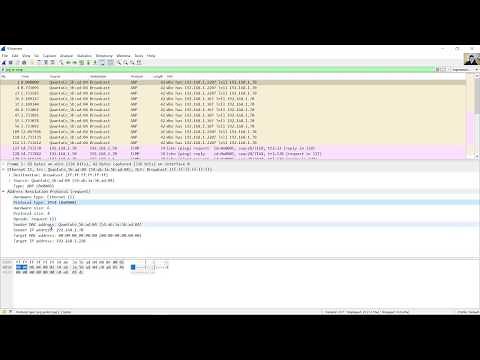 7.1.6 Lab - Use Wireshark to Examine Ethernet Frames