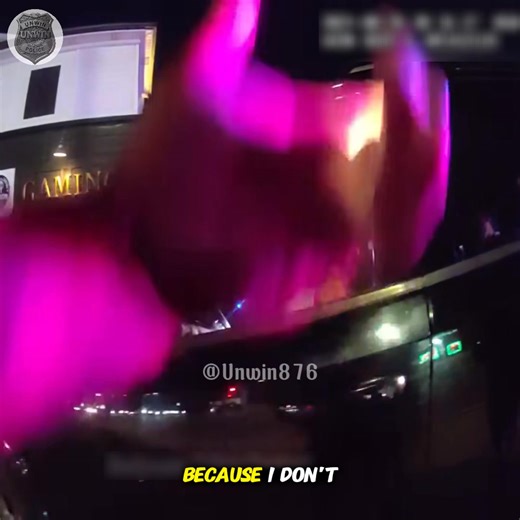 Routine Traffic Stop Takes an Unexpected Turn #PoliceBodyCam #TrafficStop #LawEnforcement #RealStories | Blue Light