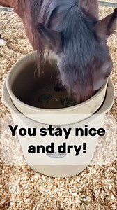 Soaking hay doesn't have to be messy or hard! Porta-Grazer makes it easy! Simply load the hay, fill with water, soak, then drain! That's it! | PORTA-GRAZER