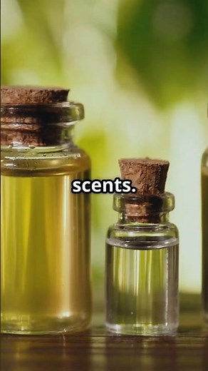 Top Benefits of Essential Oils – Boost Your Health Naturally