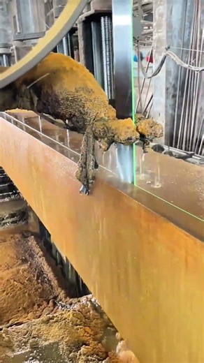 Cutting a large rectangular log into planks with a professional industrial band saw.