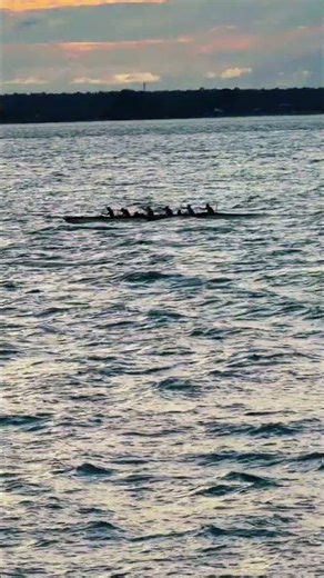 If this isn’t freedom, what is? Living life one wave at a time.#shorts #shortvideo #youtubeshorts