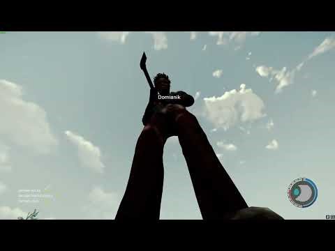 ♫ Been a full year now ♫ | The Forest