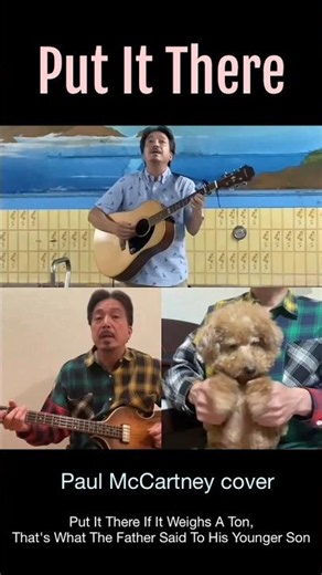 Put It There（Paul McCartney cover） #paulmccartney#ポールマッカートニー#putitthere#beatles #ビートルズ