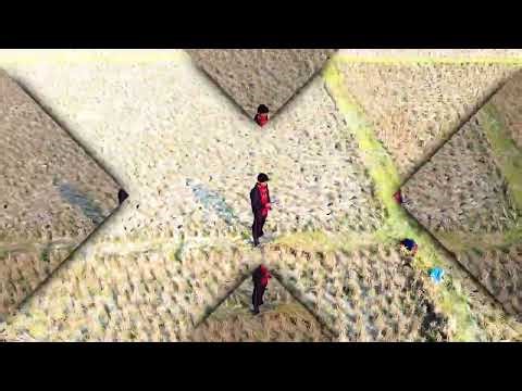 Dji Mini 4K Quicksort