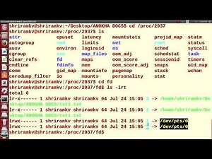 An introduction to DUP and DUP2 System Calls.