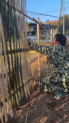 Easy Bamboo Fence Tutorial for Beginners Super Detailed
