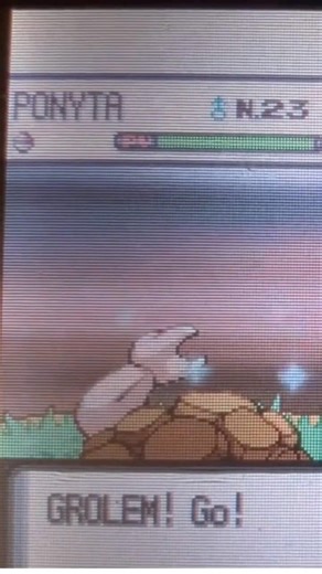 ⭐ Shiny Dex #3 : Grolem Shiny Hasard