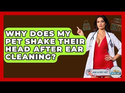 Why Does My Pet Shake Their Head After Ear Cleaning? - Ask A Pet Vet