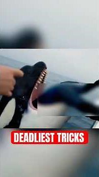 5 DEADLIEST Tricks Animals Use In The Wild