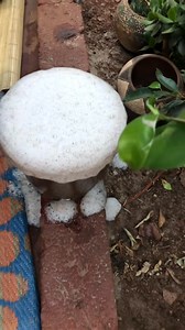 185K views · 3.3K reactions | Igobongo. We’re eating. 癩律‍♀️磊女  | Sangoma Festival | Facebook