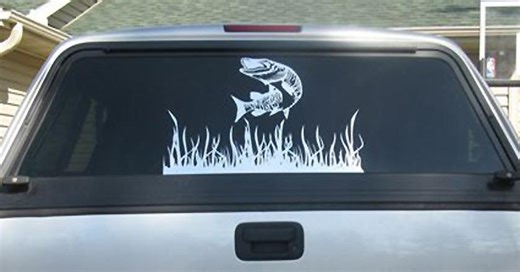 This Map Shows the Most Popular Pet in Every State