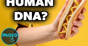 Top 10 Grossest Food Facts Ever | Articles on WatchMojo.com