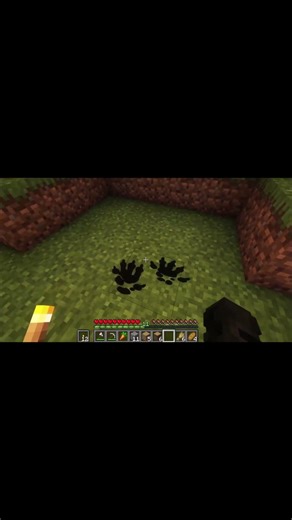 DẤU CHÂN HEO NĂM MÓNG BƯỚC ĐI TRONG LÀNG MINECRAFT CỦA MÌNH LÚC 3 GIỜ SÁNG VÀ BÍ ẨN KÌ LẠ PHÍA SAU!?
