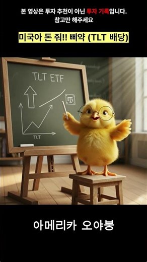 🐥 병아리의 배당 입금날! TLT ETF로 48,935원 받았삐약💸 #주린이공부