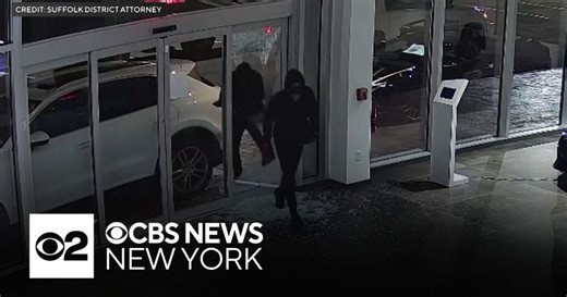 Suffolk County-based crime ring indicted