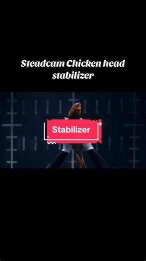Chicken vs Stabilizer - A Hilarious Clash of Stability