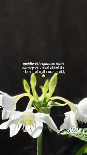 जिन्दगीको खुशी बचाउनको लागि उपाय