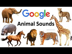 Animal Sounds | Google Tips and Tricks