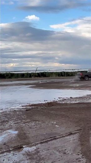Mudding season is back. #chevy #cateye #truck #liftedtrucks #mudding #4x4 #offroad