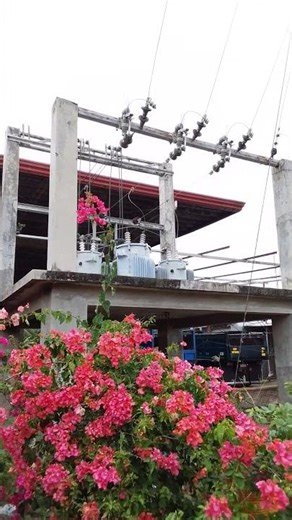 #current#transloading are #youtubeshorts #videoshorts #nature