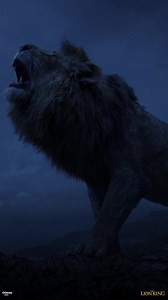 370K views · 10K reactions | Rajkumar ko Janamdin Mubarak  #HappyBirthdaySimba | Walt Disney Studios | Facebook