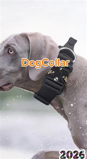 #Dog #happydog #dogcollar #dogcollars #dogcollarbusiness