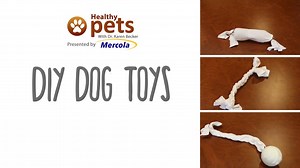 533K views · 1.4K reactions | Thinking of buying a new toy for your pet? How about MAKING your own instead? | Dr. Karen Becker | Facebook