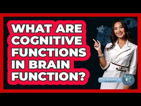 What Are Cognitive Functions In Brain Function? - Psychological Clarity