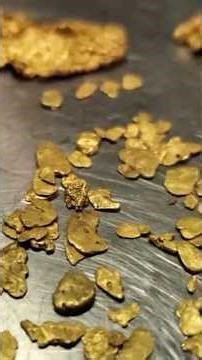 I Hunt Gold For My Hobby