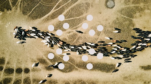 IRFS Sustainability Disclosure Standards | IBM