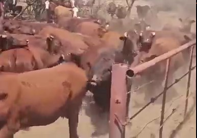 Beggars (authentic revolutionary) walking in a room full of industrial proletarians