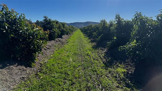 A federal rule could block compostable packaging in California