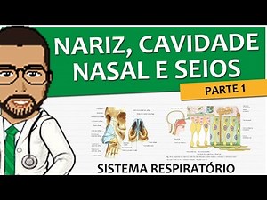 Sistema Respiratório 02 - Nariz, cavidade nasal e seios paranasais (Anatomia e Histologia) P1