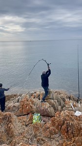 2.6M views · 9.4K reactions | Easy cast, long throw | Pinoy Australia | Facebook