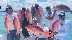 The first rule of cobia season; Don't talk about cobia season
