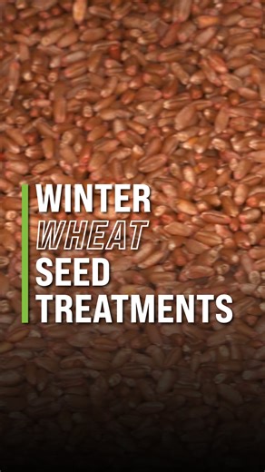 Here's one thing to consider for your farm. | Ag PhD