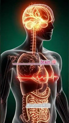 💥 “What Happens Inside Your Body When You Drink Coffee? | Amazing Effects of Caffeine”