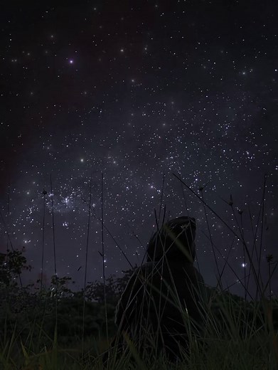 The Stars Listened Quietly — Night Sky Stargazing Aesthetic